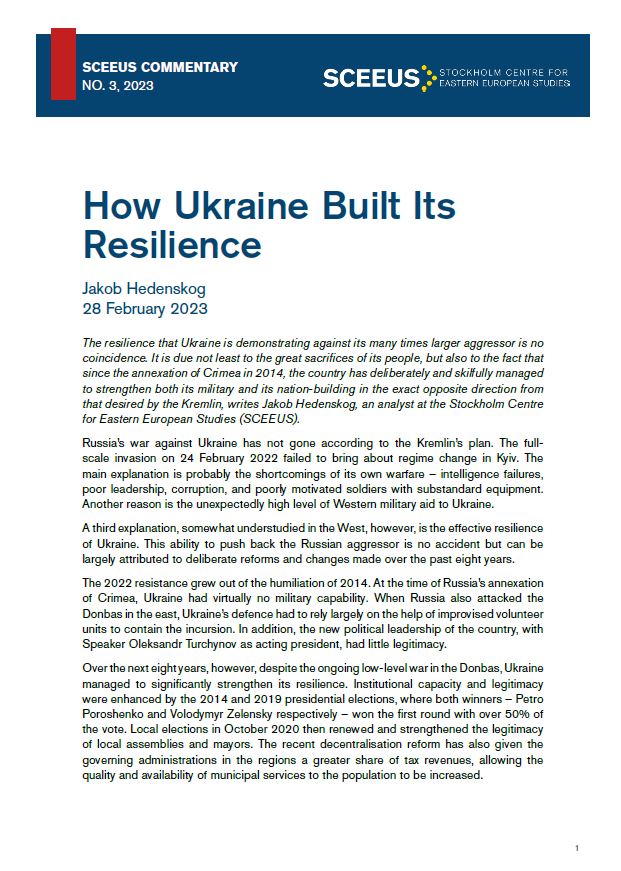 How Ukraine Built Its Resilience