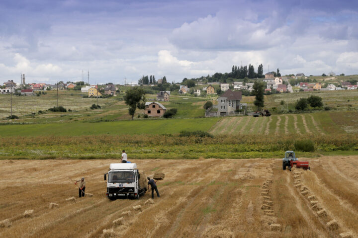 Ukraine Harvest