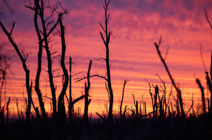 Skärmbild 2025-12-05 132810