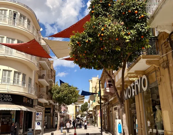 Skärmbild 2026-03-06 094730