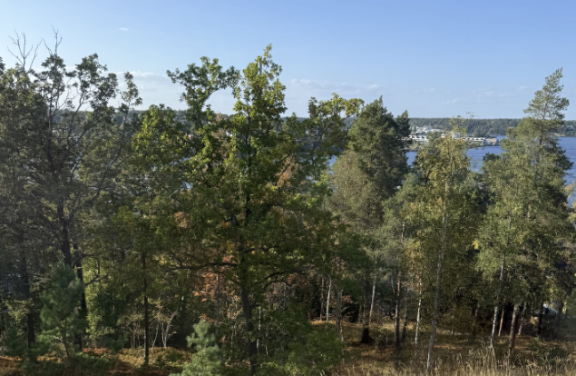 Skärmbild 2026-09-04 143750
